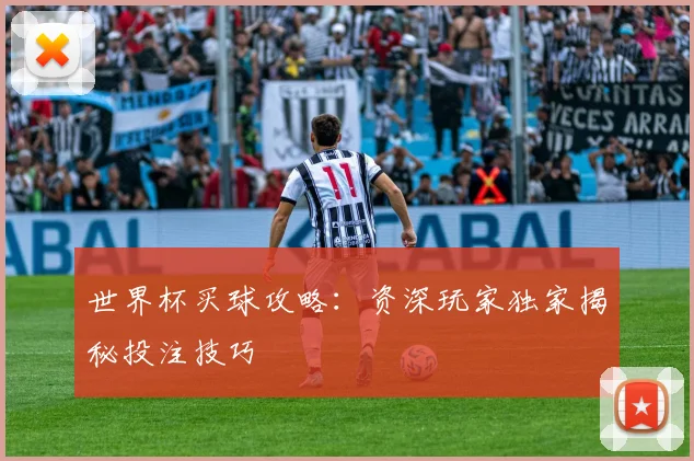 世界杯买球攻略：资深玩家独家揭秘投注技巧