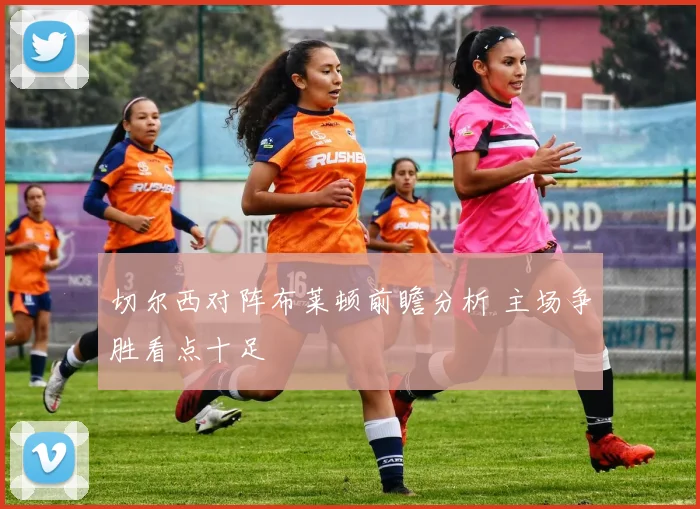 切尔西对阵布莱顿前瞻分析 主场争胜看点十足