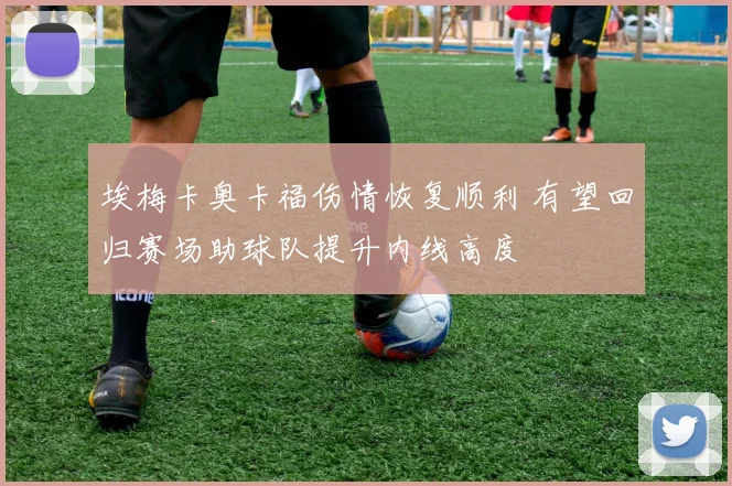 埃梅卡奥卡福伤情恢复顺利 有望回归赛场助球队提升内线高度