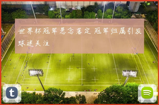 世界杯冠军悬念落定 冠军归属引发球迷关注