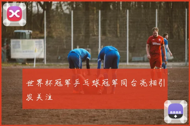 世界杯冠军乒乓球冠军同台亮相引发关注