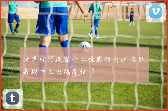 世界杯预选赛十二强赛程出炉 各队备战冲击出线席位_1