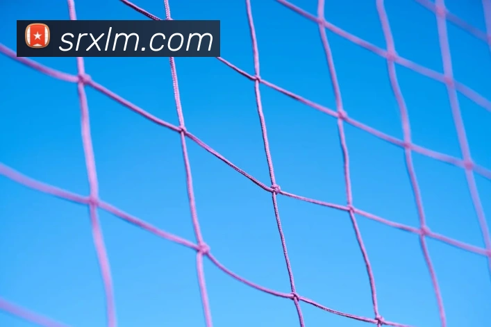 世界杯平台官网登录服务体系